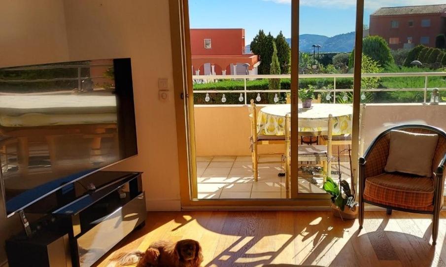 Chambre Lit 2 Personnes Dans Appartement Du Logeur Mandelieu Buitenkant foto